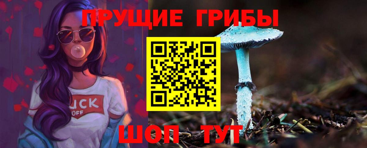 Набережные Челны  Псилоцибиновые грибы Cubensis  Вход с VPN  Галлюциногенные грибы Psilocybine cubensis 